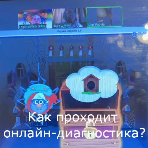 Видео логопедическая диагностика - как происходит онлайн-диагностика